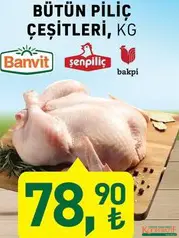 BÜTÜN PİLİÇ ÇEŞİTLERİ KG